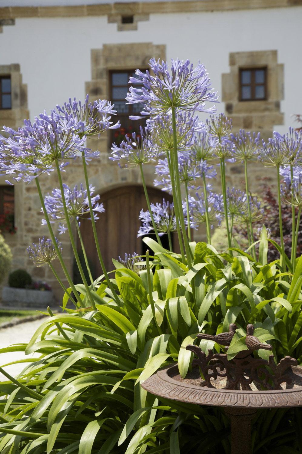 Hotel Casona De San Pantaleón de Aras Exteriér fotografie